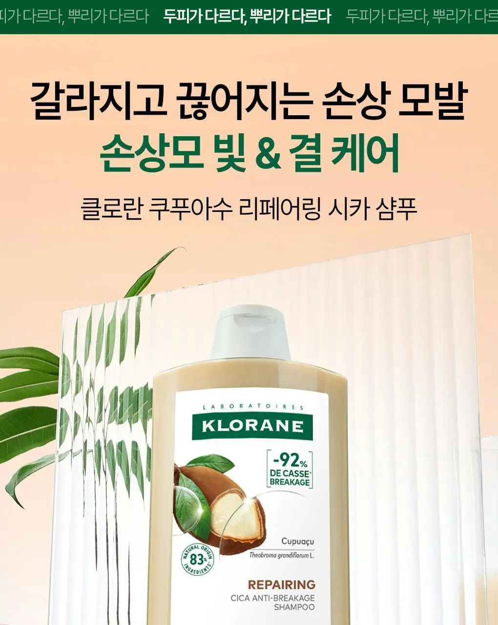 [극손상모발 & 스타일링] 클로란 쿠푸아수 버터 리페어 샴푸 400ml 상세페이지 3